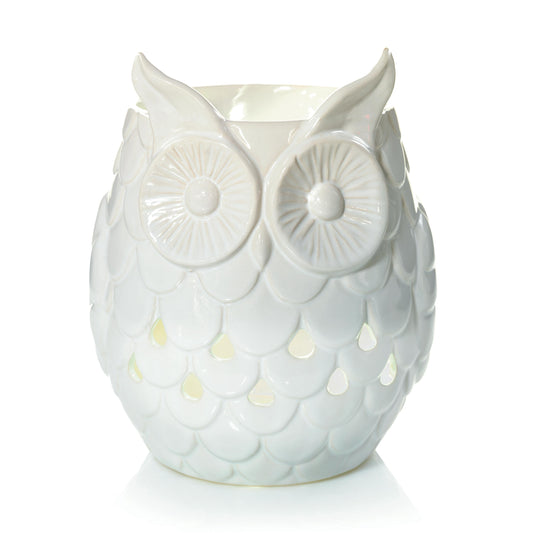 Owl OXR