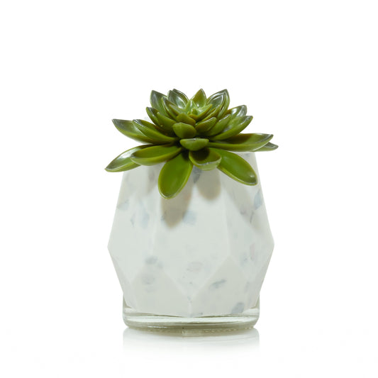 Faceted Succulent ScentPlug® Diffuser with Light WAW